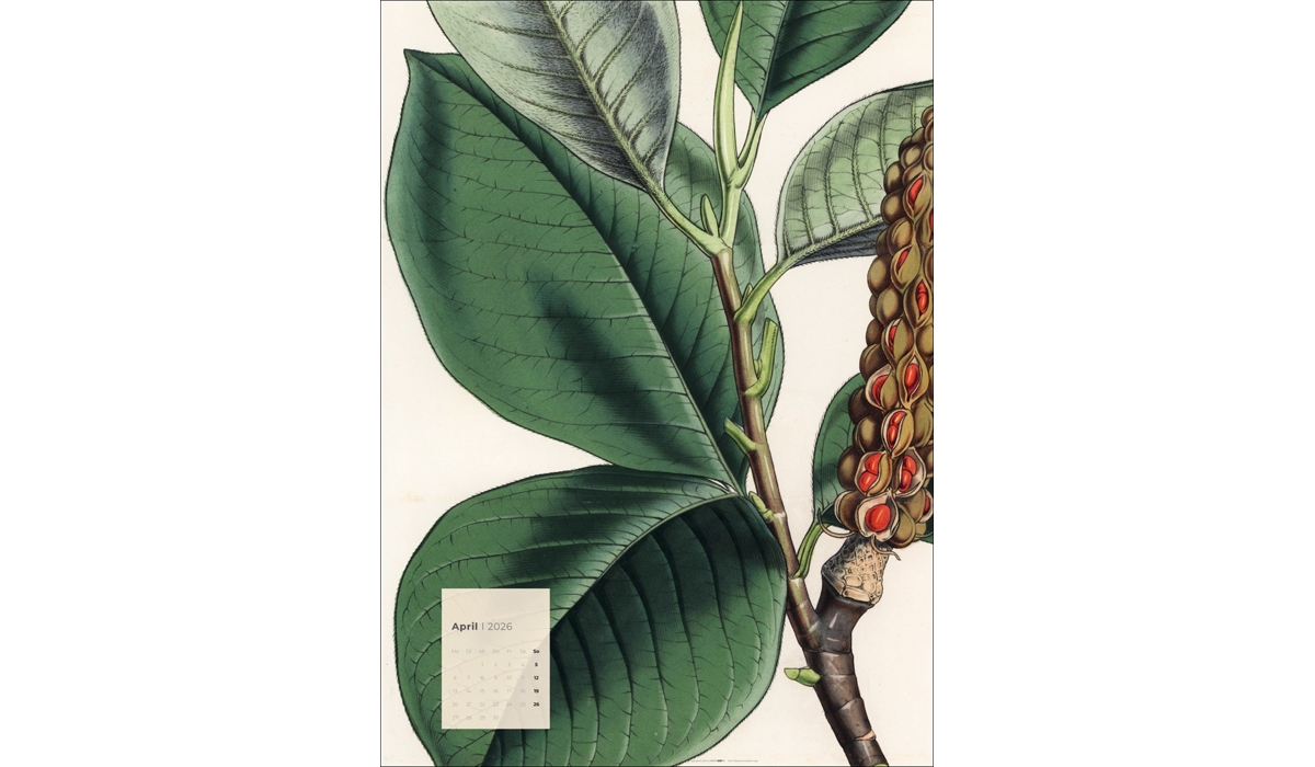 advertising calendar: Botanicals 2026