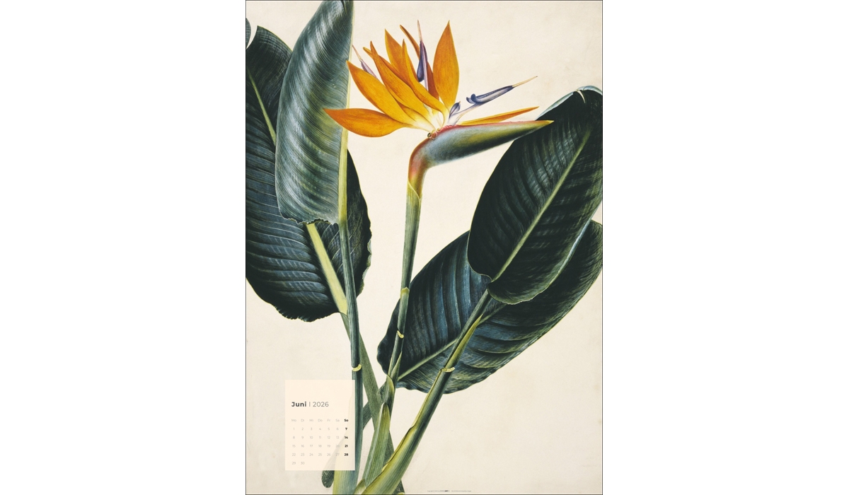 advertising calendar: Botanicals 2026