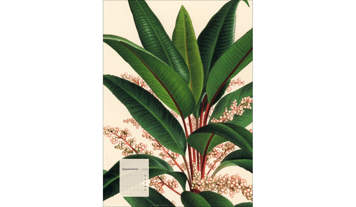 advertising calendar: Botanicals 2026