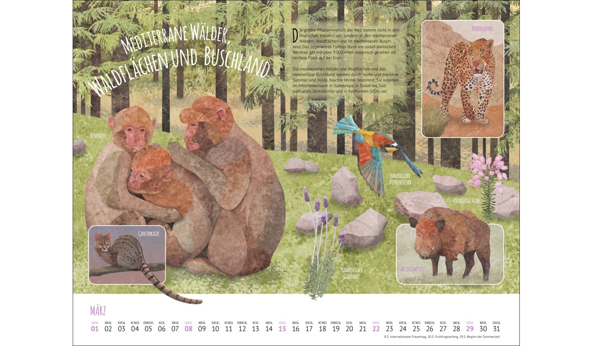 Werbekalender: Wo Tiere und Pflanzen zu Hause sind 2026