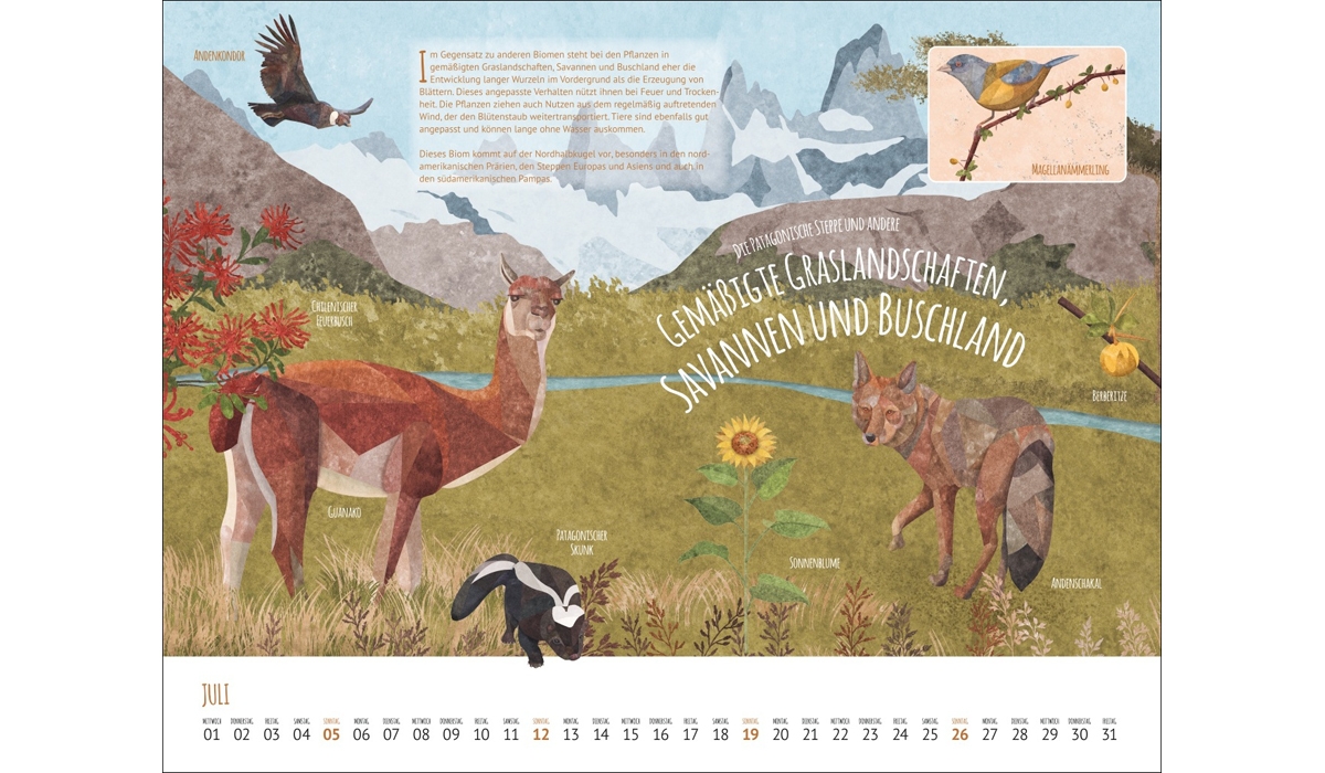 Werbekalender: Wo Tiere und Pflanzen zu Hause sind 2026