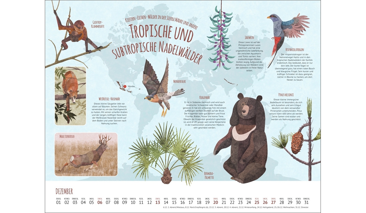 Werbekalender: Wo Tiere und Pflanzen zu Hause sind 2026