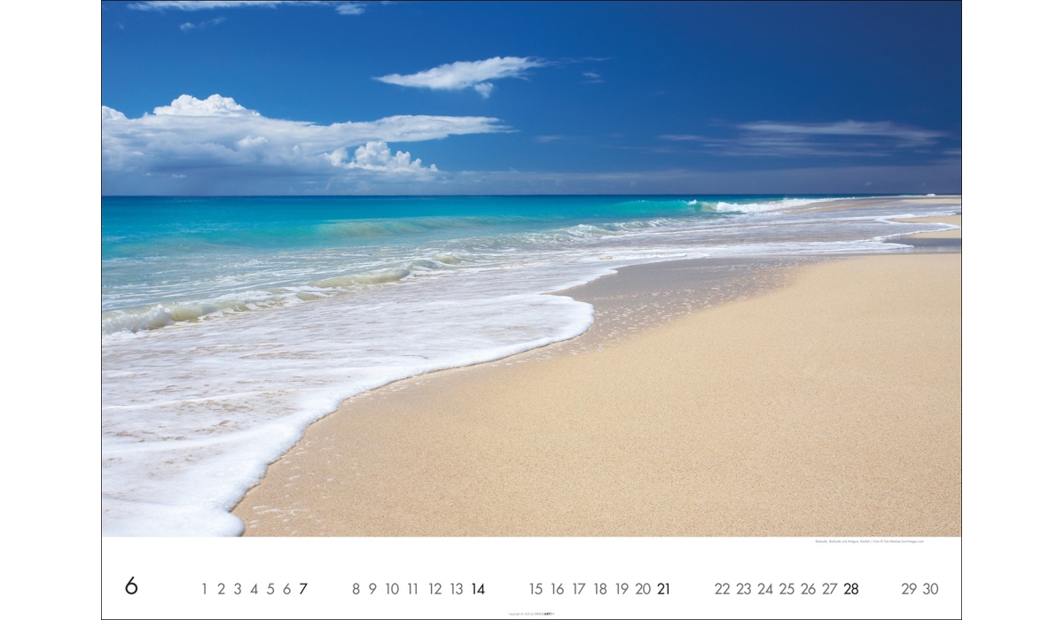 advertising calendar: The sea 2026