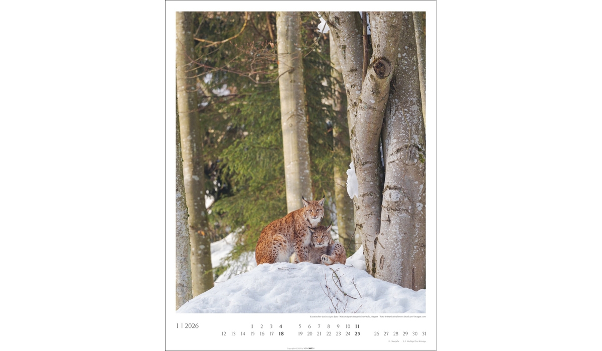 Werbekalender: Heimische Wälder 2026