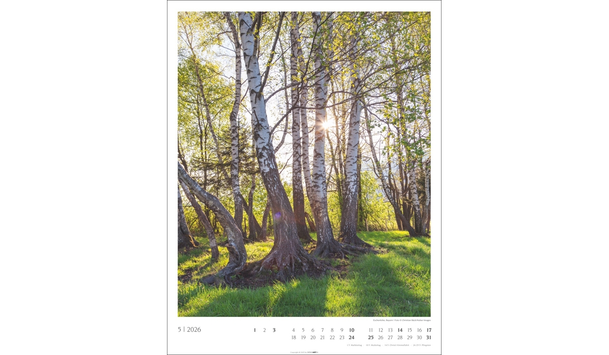 Werbekalender: Heimische Wälder 2026