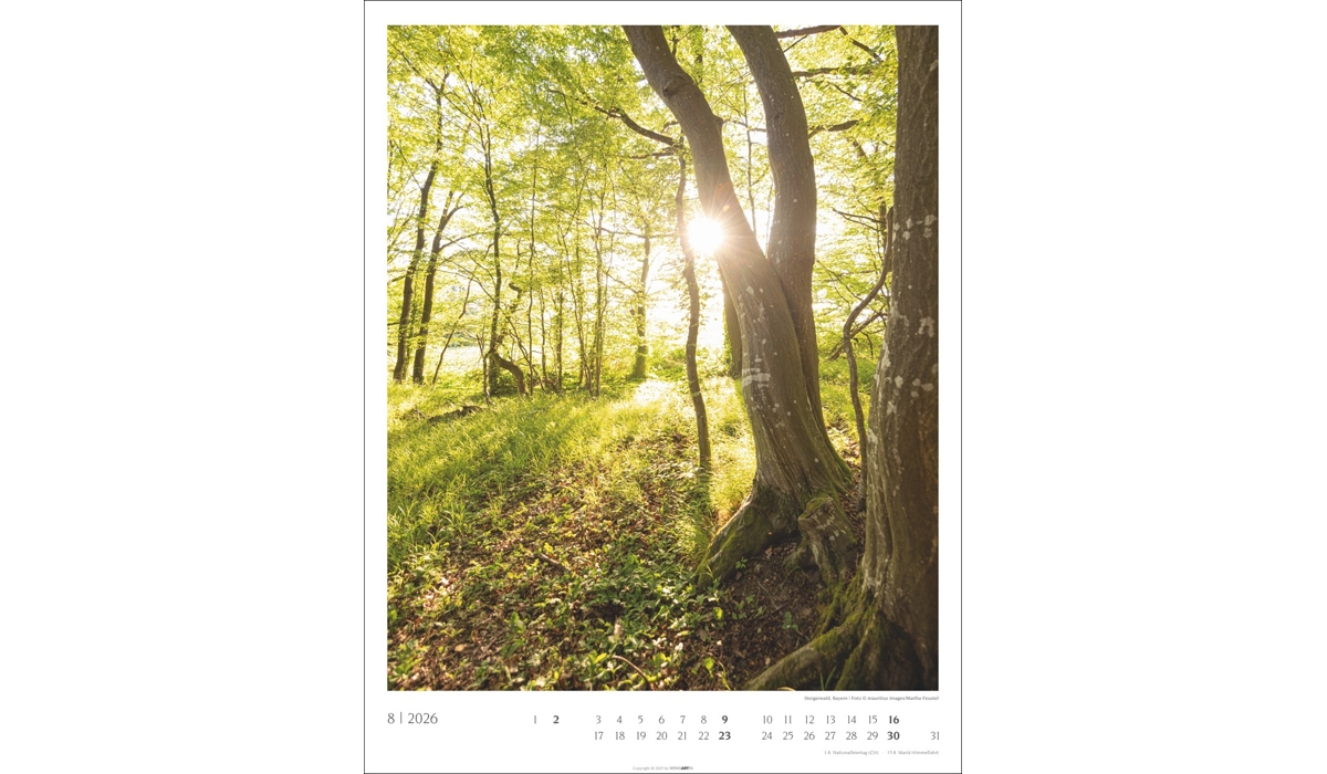 Werbekalender: Heimische Wälder 2026