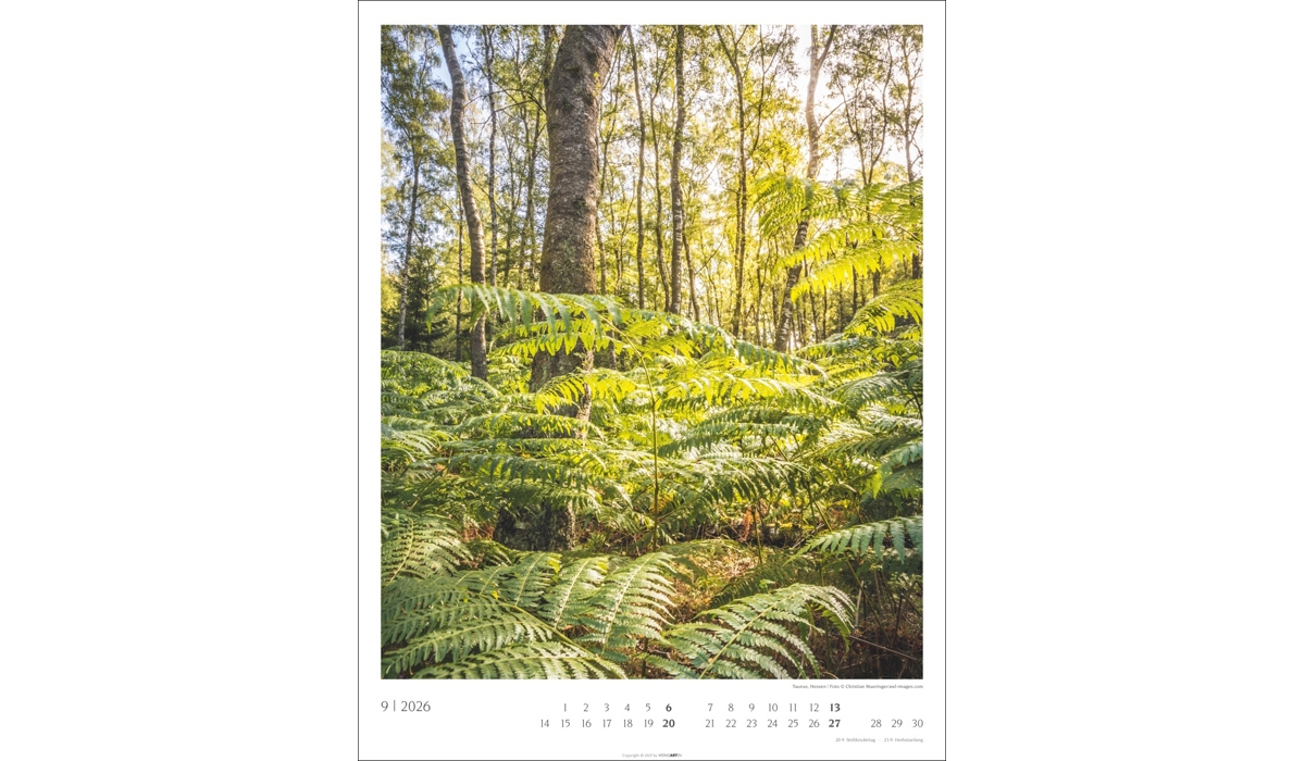Werbekalender: Heimische Wälder 2026