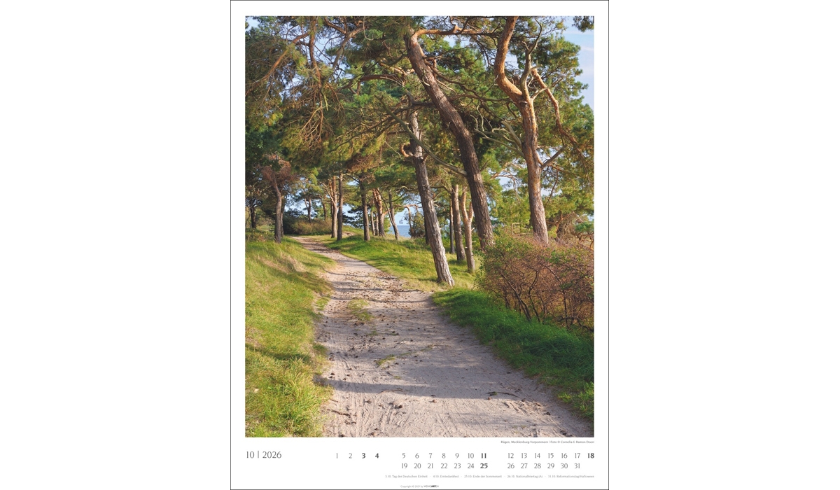 Werbekalender: Heimische Wälder 2026