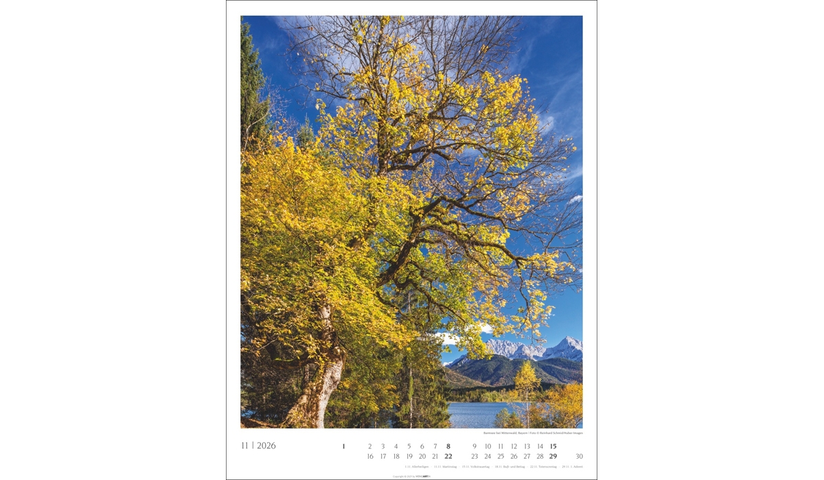 Werbekalender: Heimische Wälder 2026