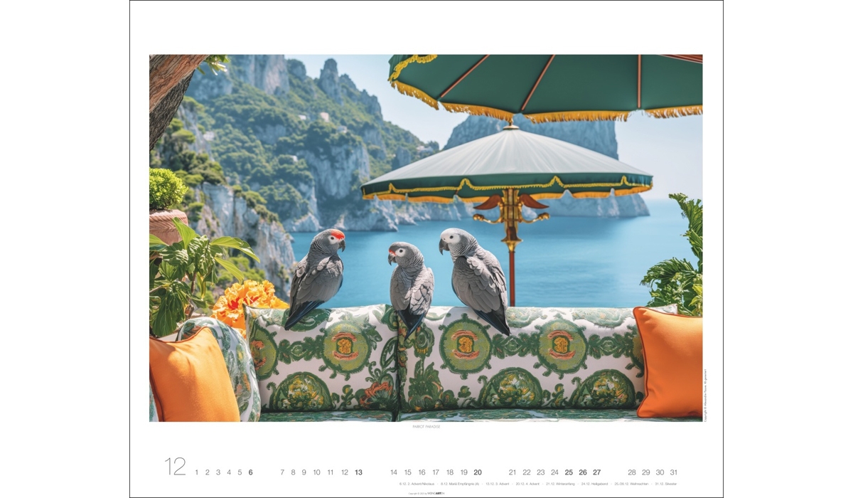 advertising calendar: Jungle House 2026