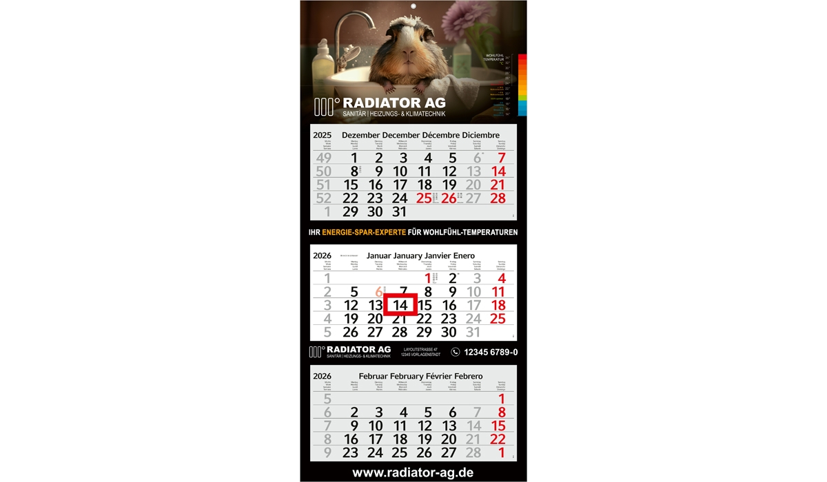 3-Monatskalender 2026 Profil 3 Standard