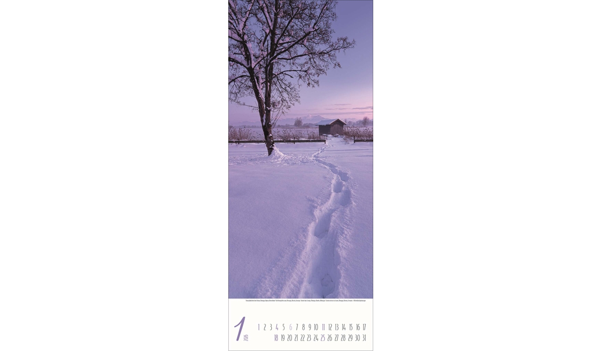 advertising calendar: Magical paths 2026