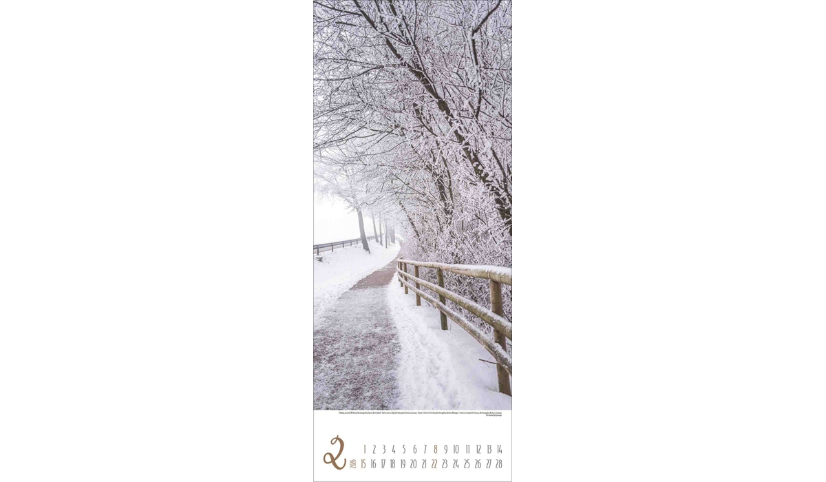 advertising calendar: Magical paths 2026