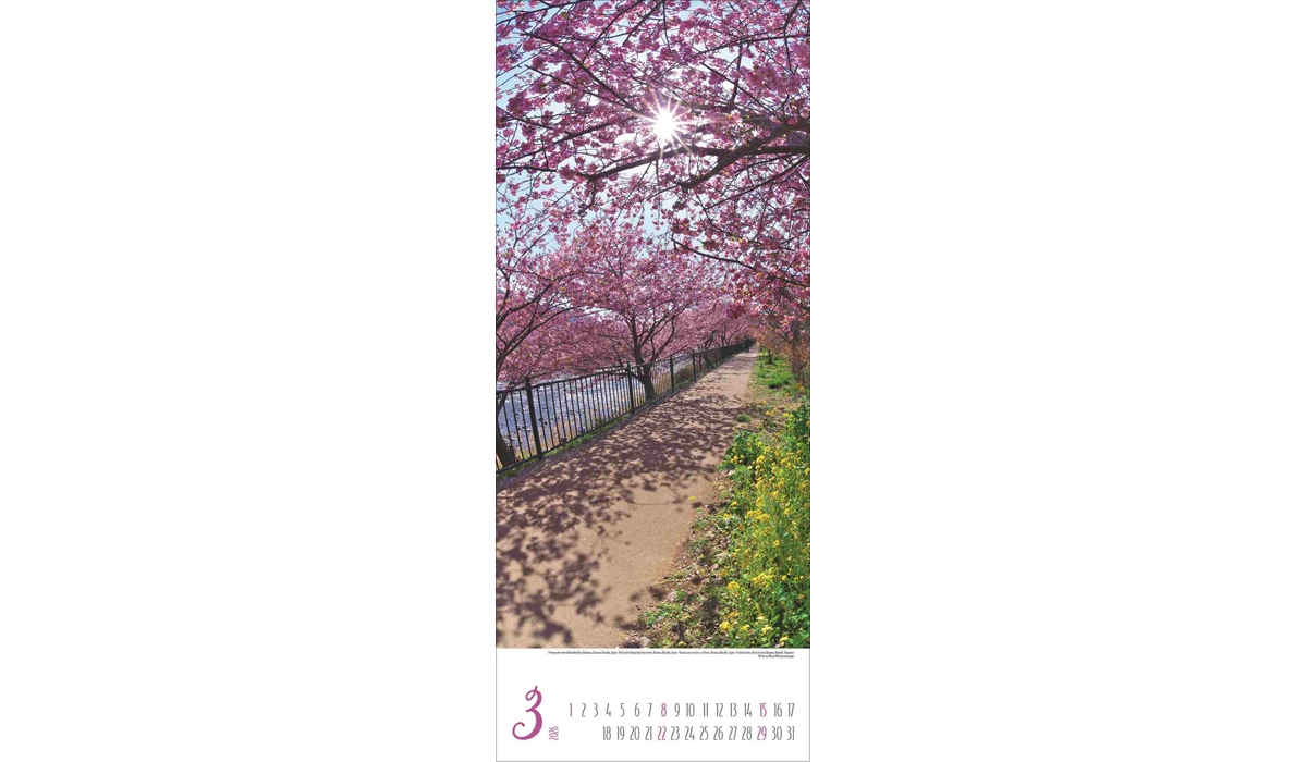 advertising calendar: Magical paths 2026