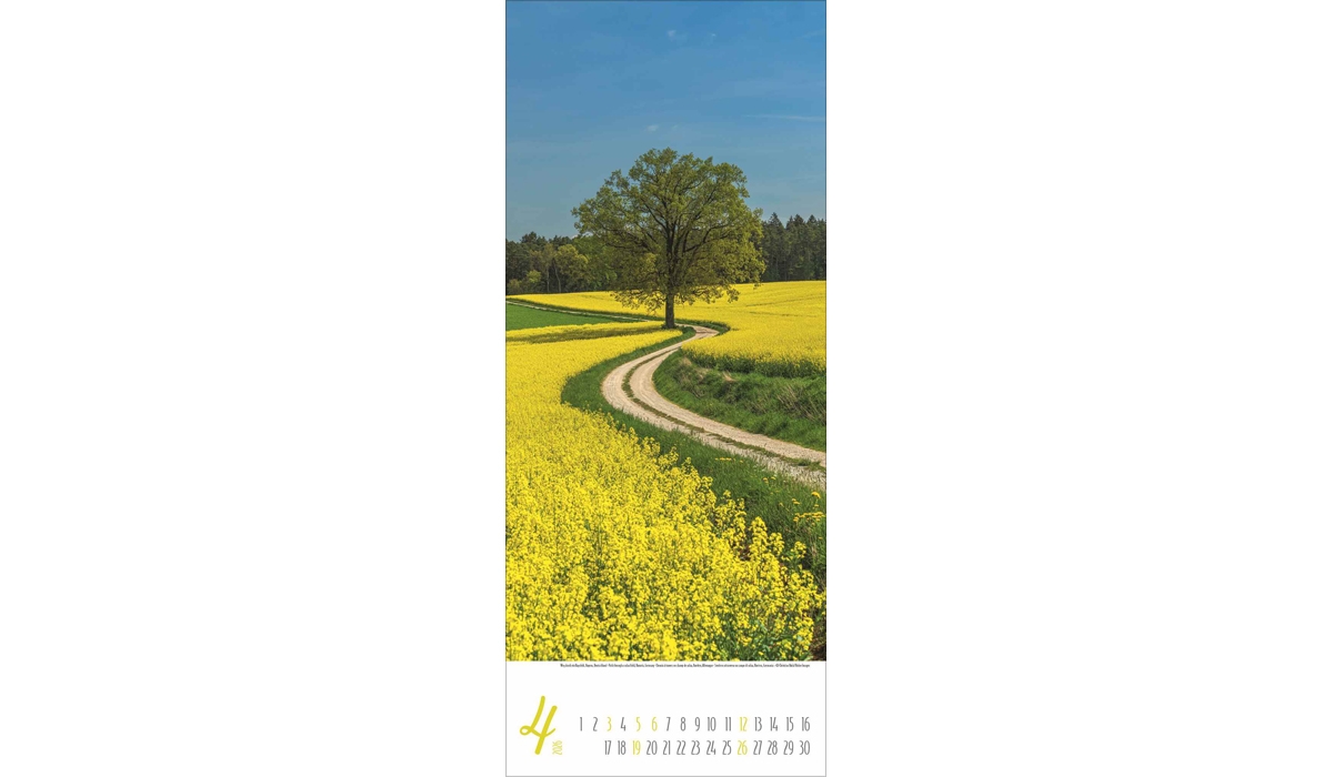 advertising calendar: Magical paths 2026