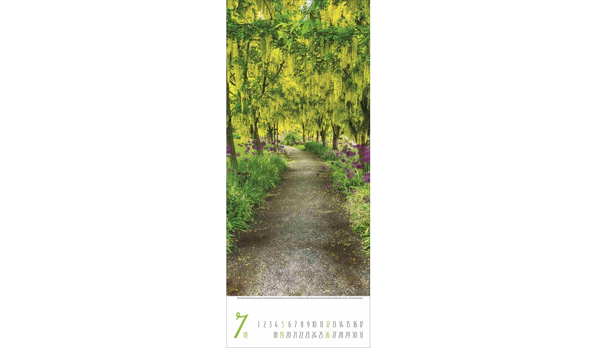 advertising calendar: Magical paths 2026