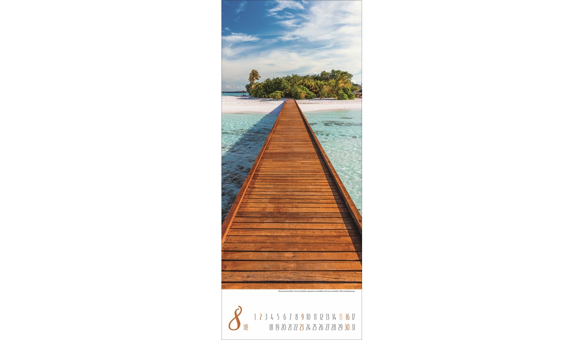 advertising calendar: Magical paths 2026