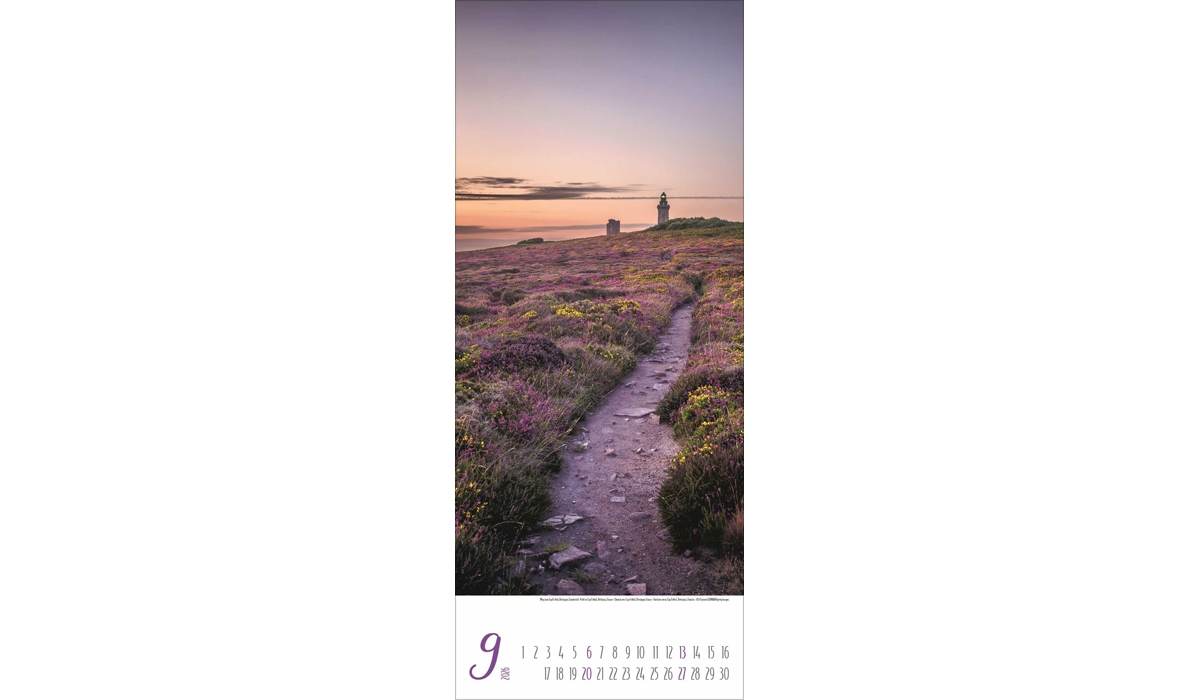 advertising calendar: Magical paths 2026