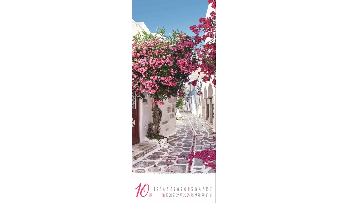 advertising calendar: Magical paths 2026