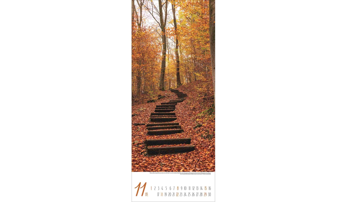 advertising calendar: Magical paths 2026