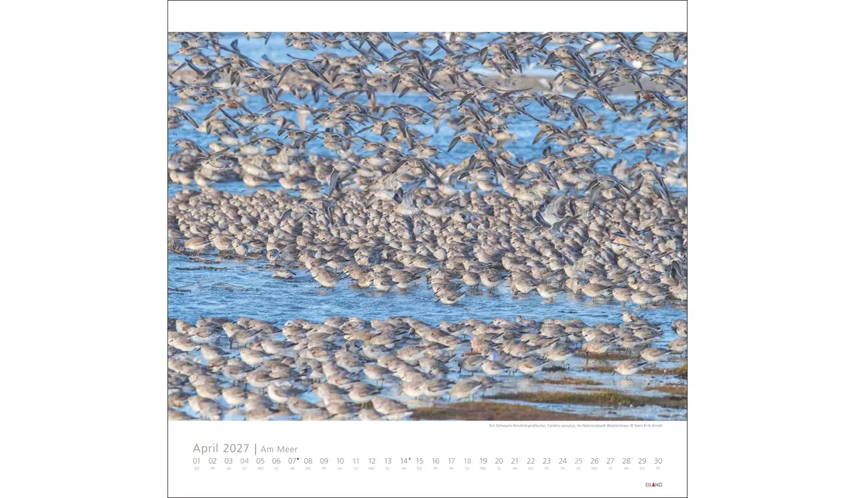 Am Meer Edition Kalender 2027