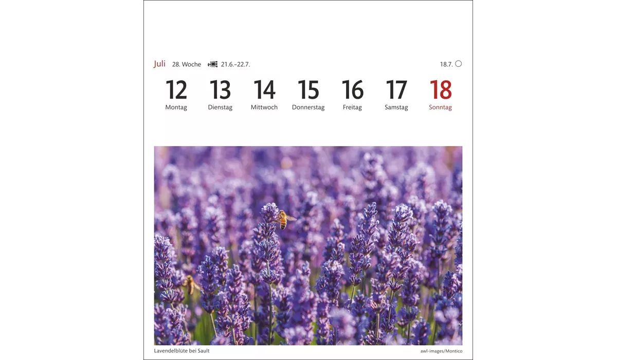 advertising calendar: Provence Postcard Calendar 2027
