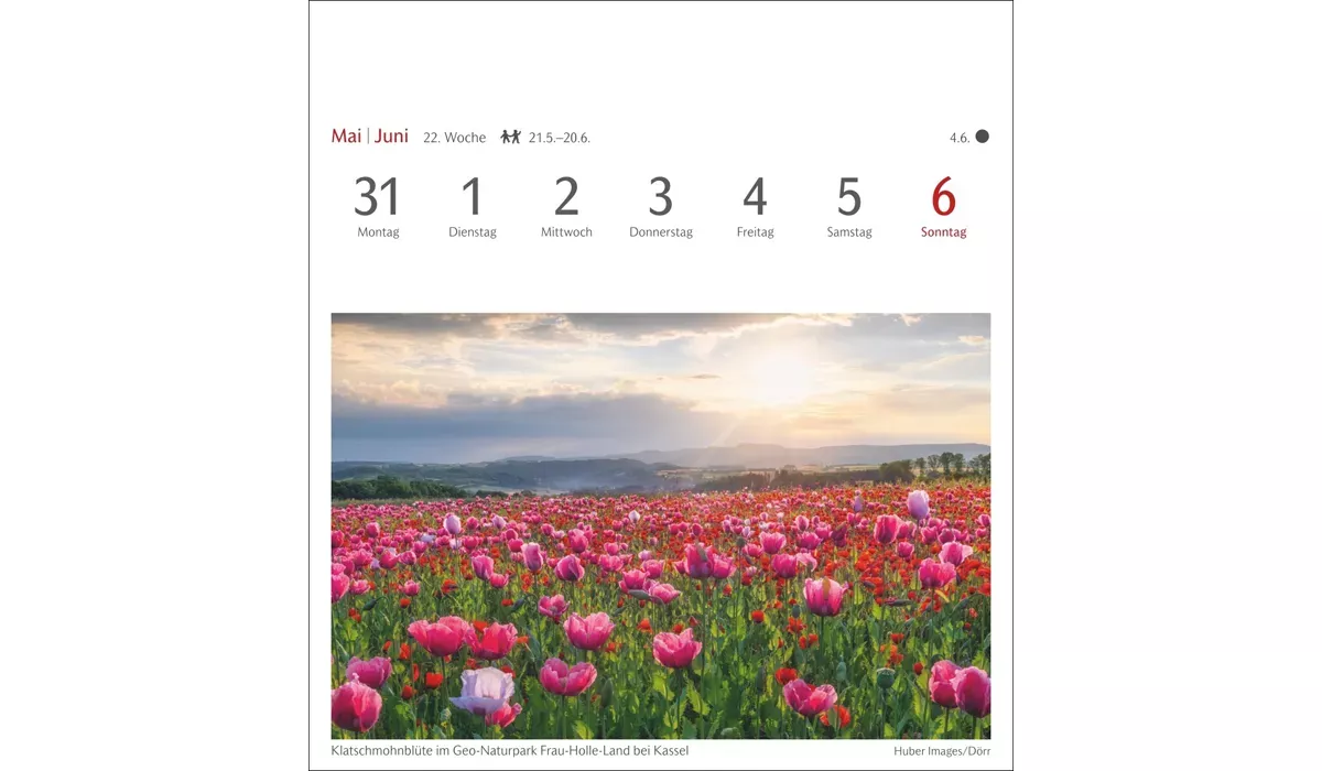 advertising calendar: Reviews of postcard calendar 2027