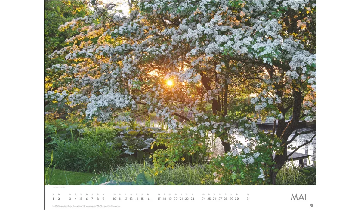 Heye Gartenparadies Posterkalender 2027