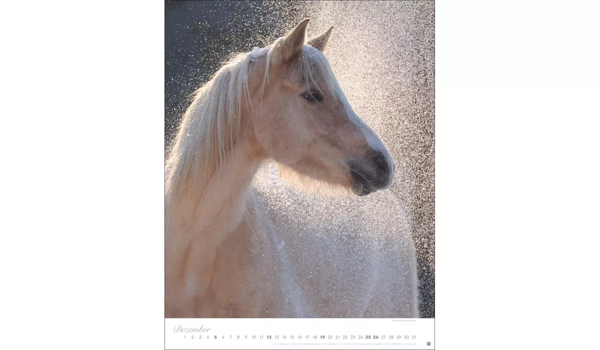 Heye Pferde Classics Posterkalender 2027