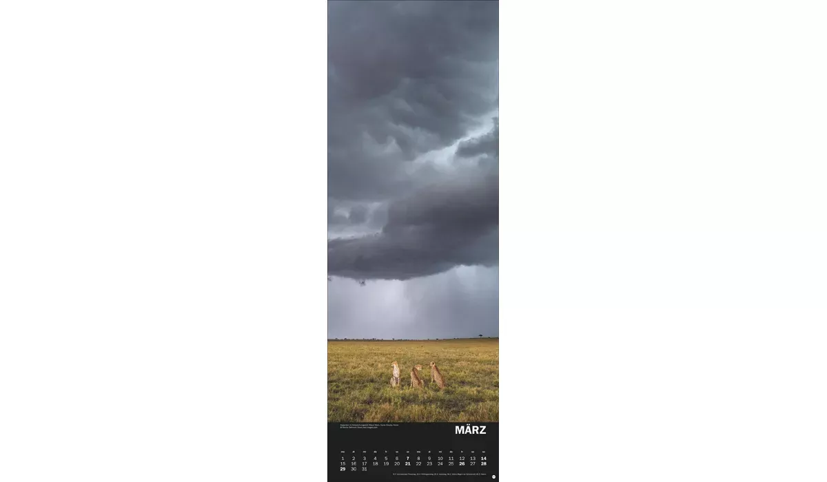 advertising calendar: Natural forces 2027