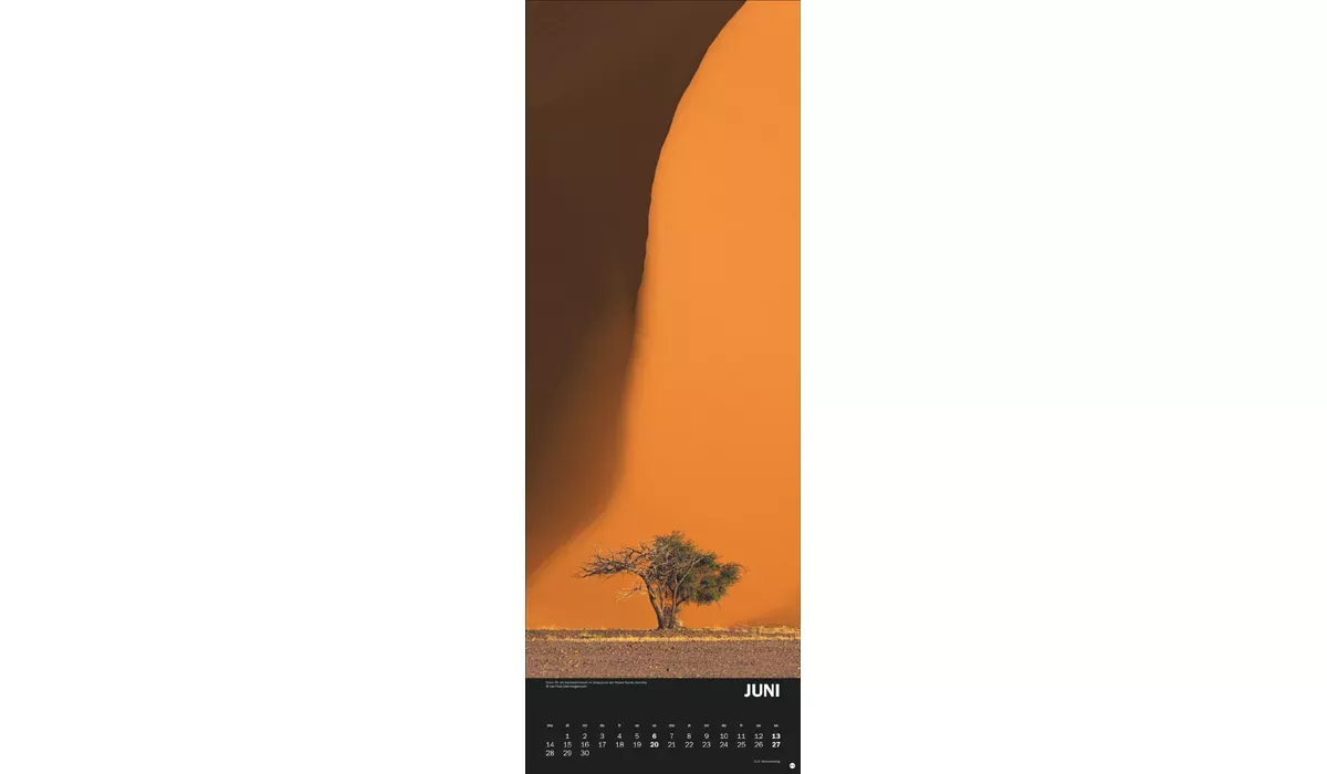 advertising calendar: Natural forces 2027