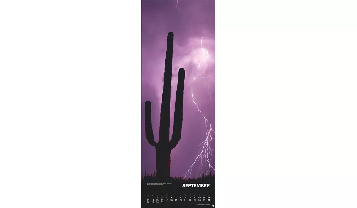 advertising calendar: Natural forces 2027