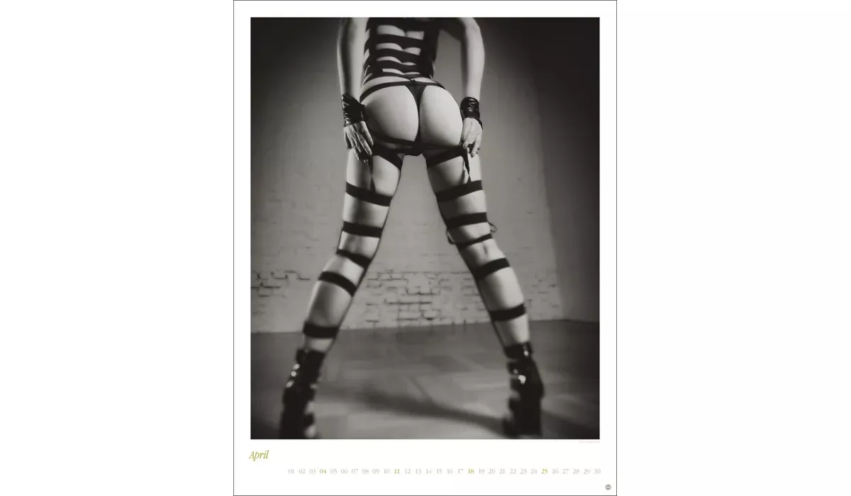 Heye Backside Posterkalender 2027