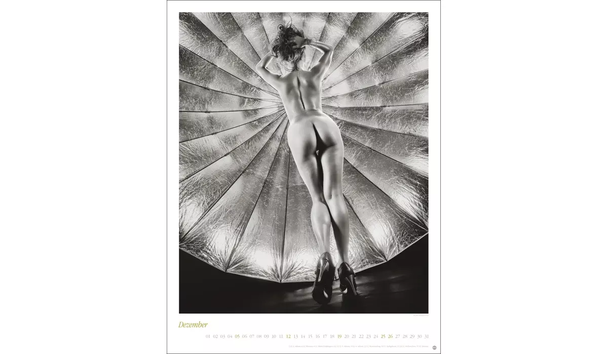 Heye Backside Posterkalender 2027