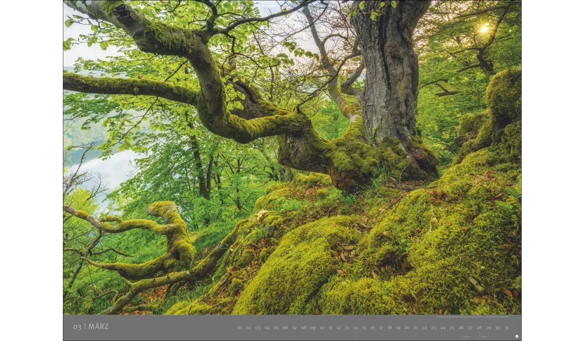 advertising calendar: German National Parks 2027