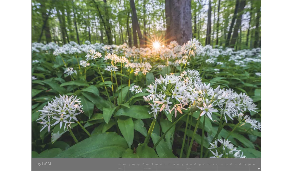 advertising calendar: German National Parks 2027