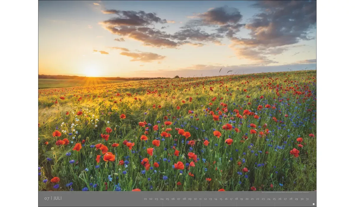 advertising calendar: German National Parks 2027