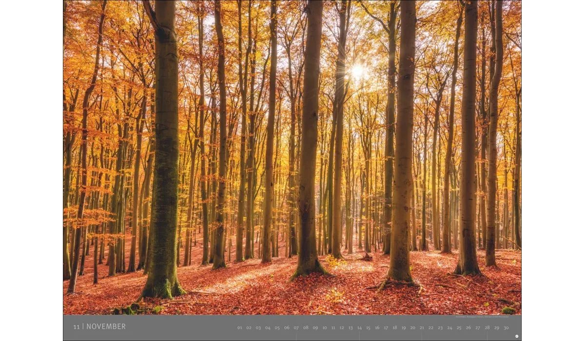 advertising calendar: German National Parks 2027