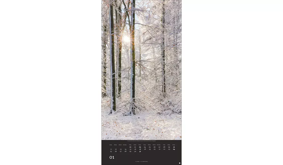 advertising calendar: Colourful nature 2027