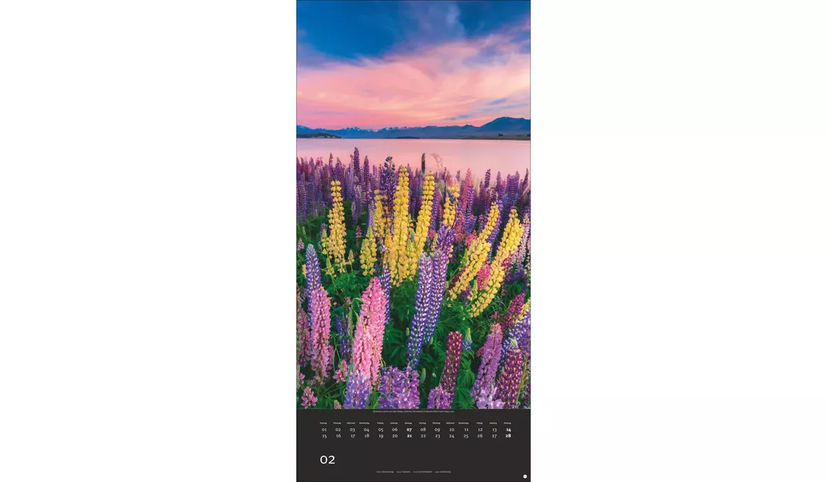 advertising calendar: Colourful nature 2027