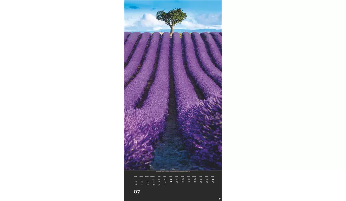 advertising calendar: Colourful nature 2027