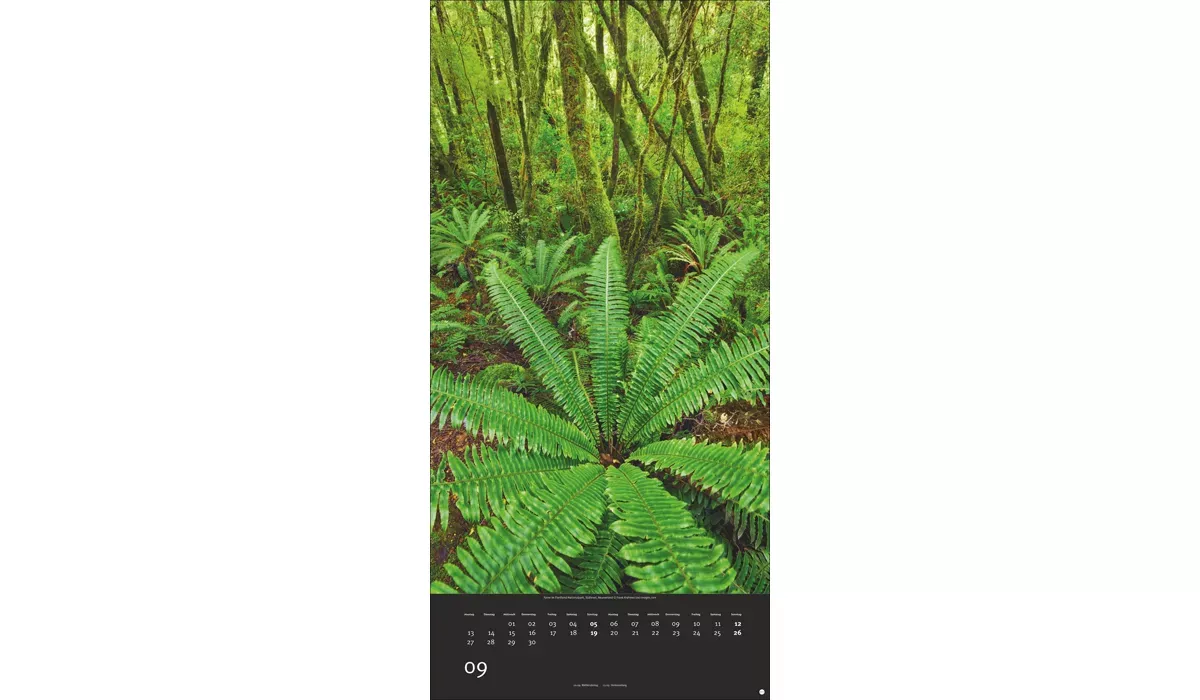 advertising calendar: Colourful nature 2027