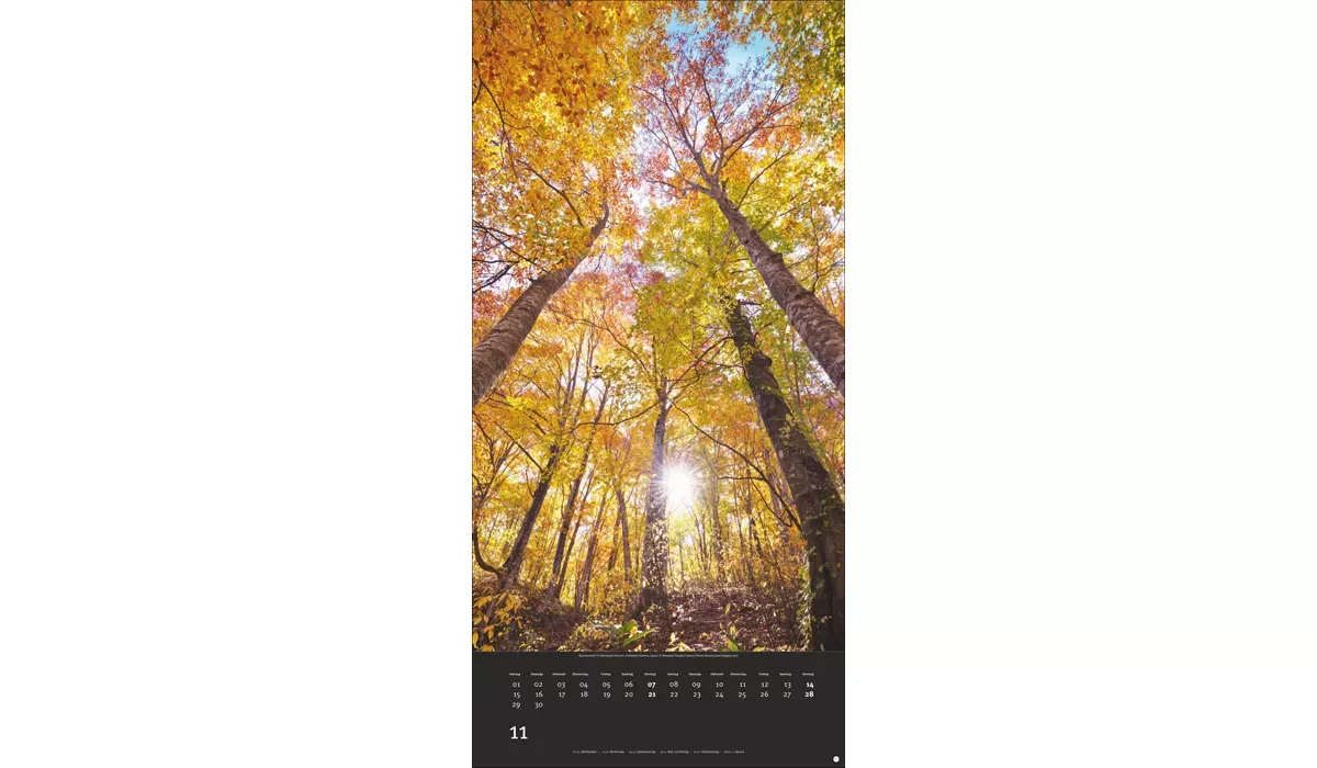 advertising calendar: Colourful nature 2027