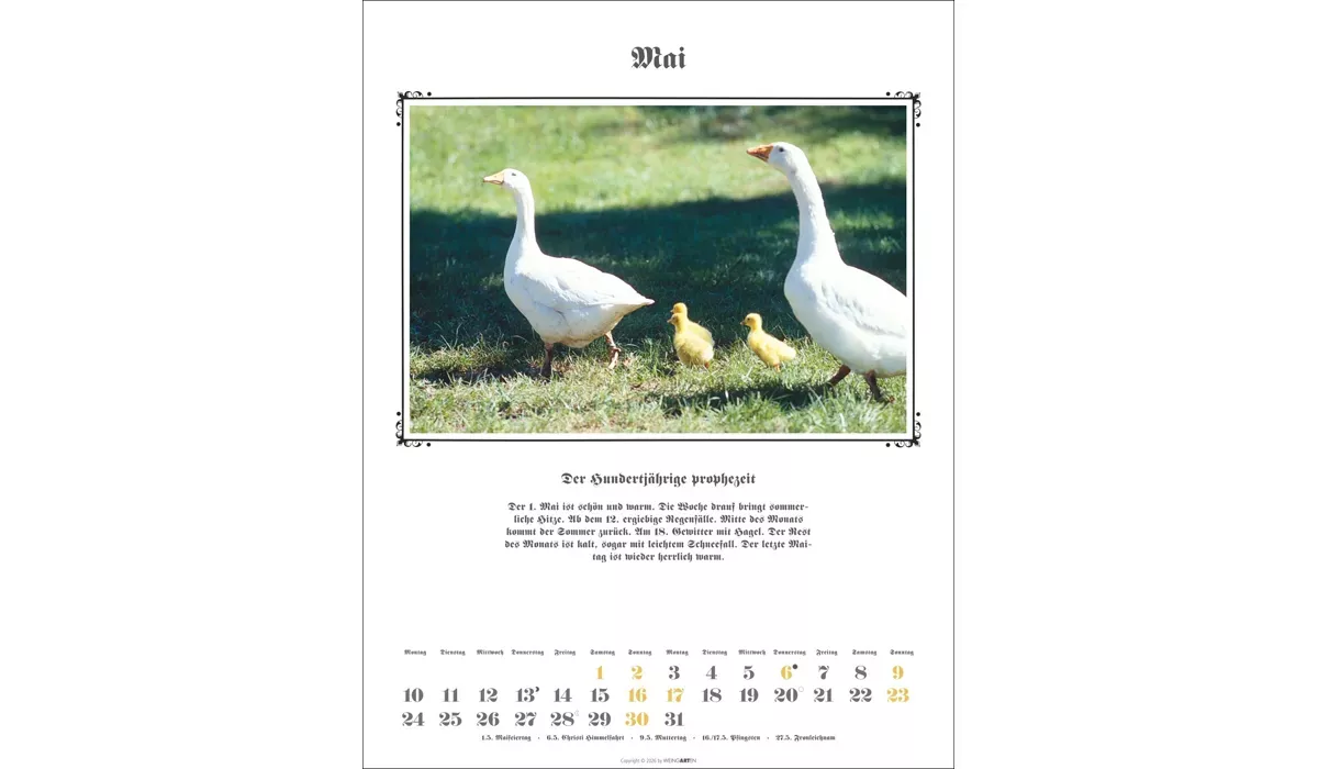 Weingarten Der Hundertjährige Kalender 2027