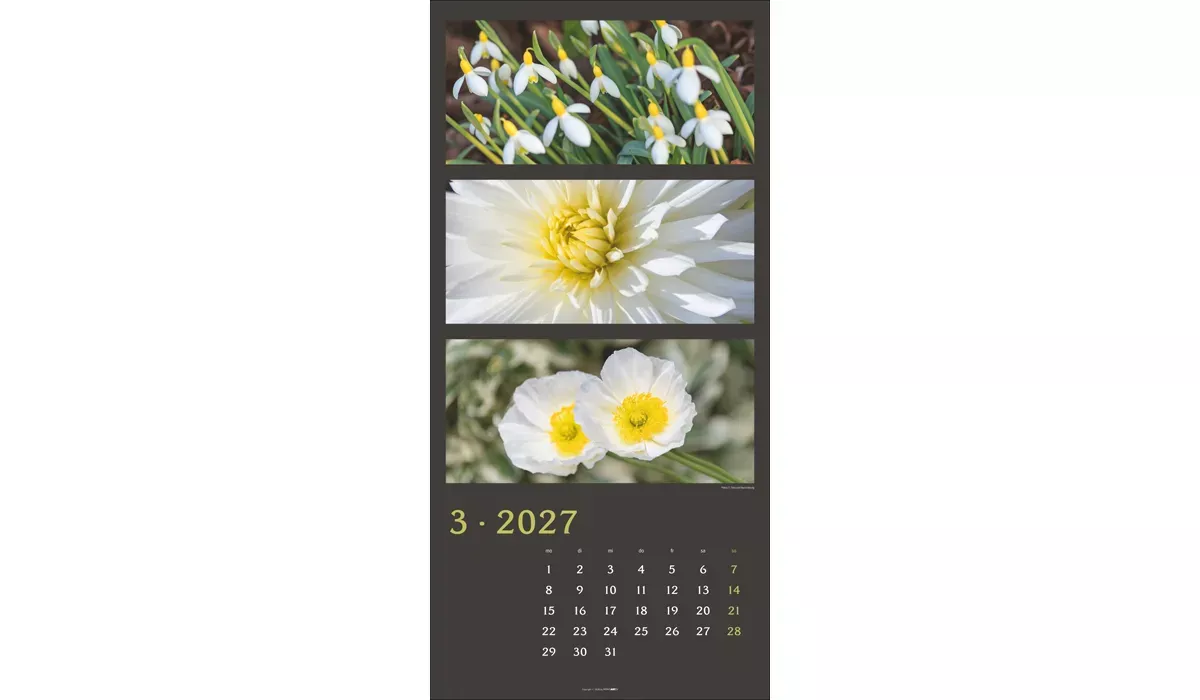 Weingarten Die Farben der Natur Kalender 2027