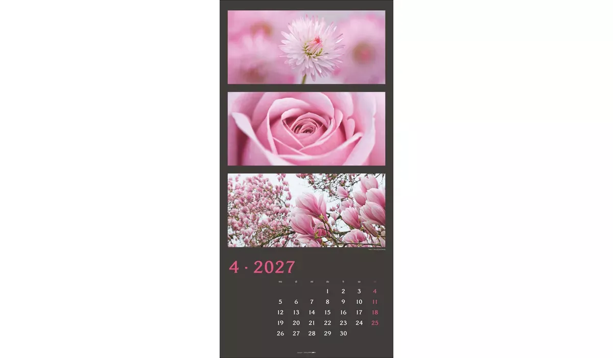 Weingarten Die Farben der Natur Kalender 2027