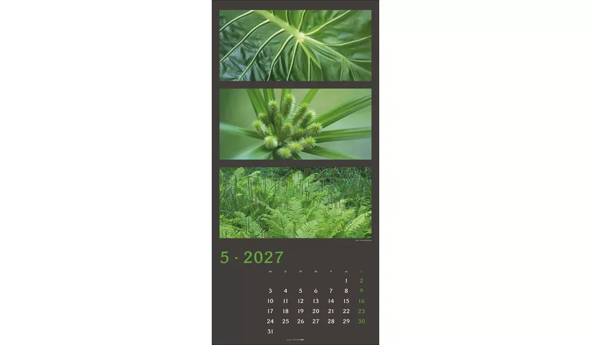 Weingarten Die Farben der Natur Kalender 2027