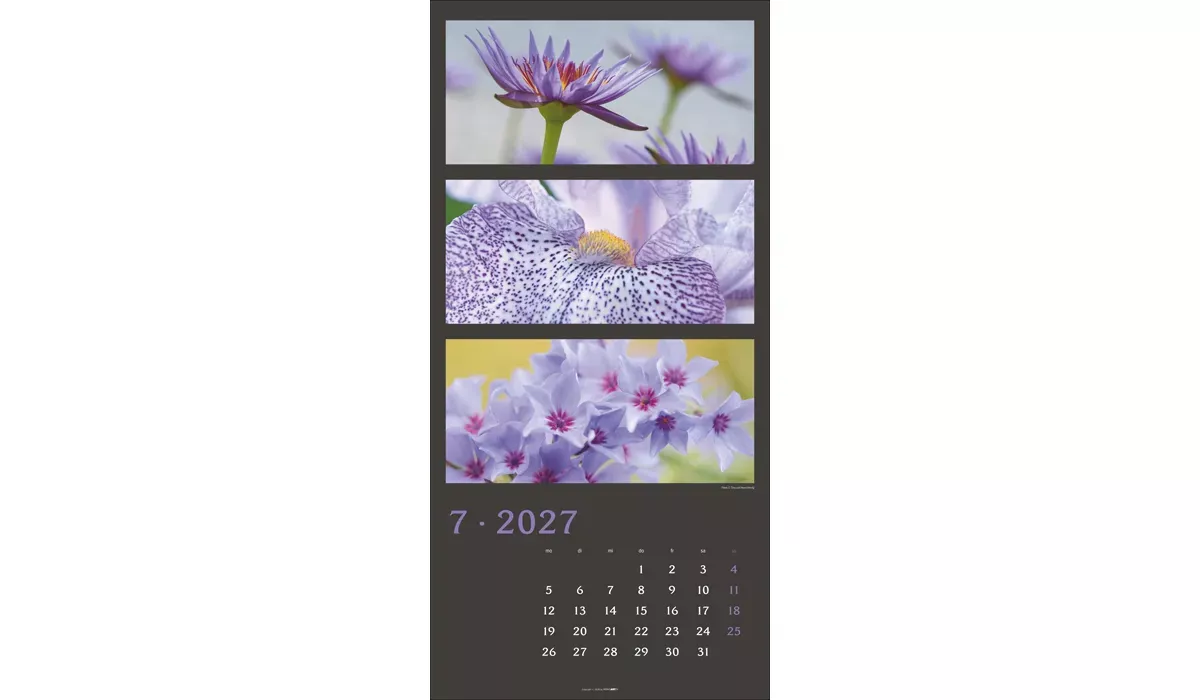 Weingarten Die Farben der Natur Kalender 2027