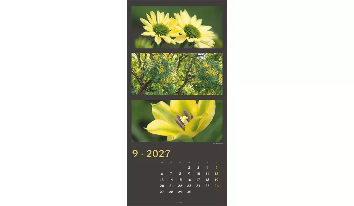 Weingarten Die Farben der Natur Kalender 2027