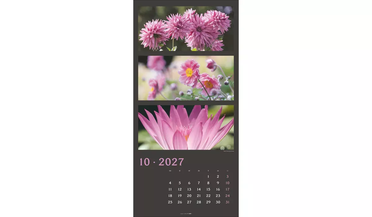Weingarten Die Farben der Natur Kalender 2027